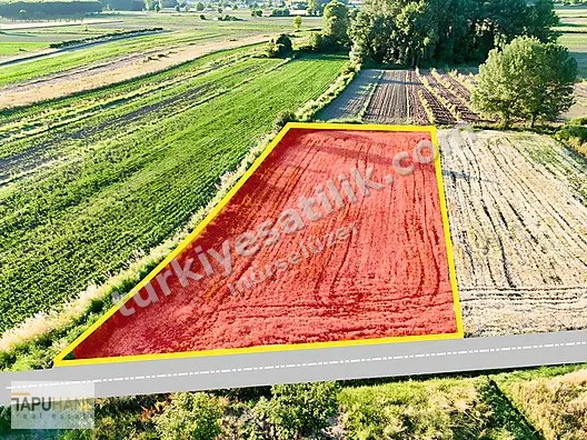 TAPUHANE'DEN Y. ÇALICADA 1382 M2 SATILIK TARLA