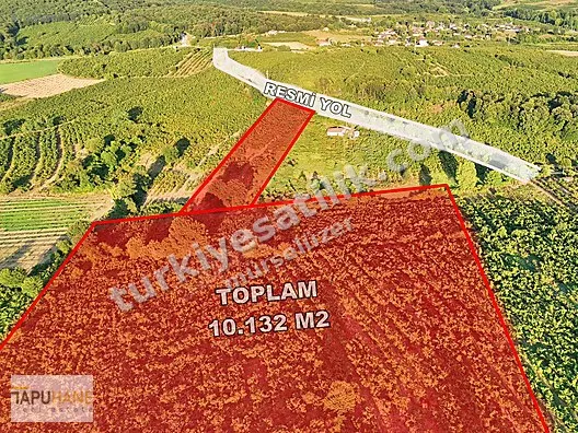 TAPUHANE REAL ESTATE - 10.132M2 A.ÇALICADA FINDIK BAHÇESİ
