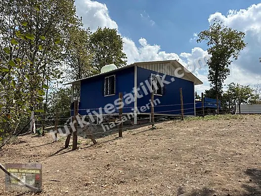 İLERİN GAYRİMENKUL'den 15.000 m² SATILIK VERİMLİ FINDIK BAHÇESİ