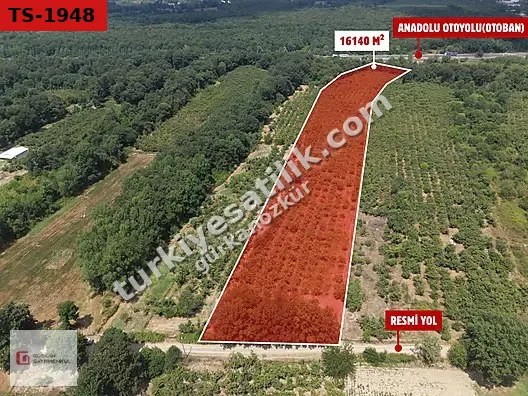 GÜRKAN GAYRİMENKUL KARGALIYENİ MH.OTOBAN KENARINDA 16140 M2 ARSA